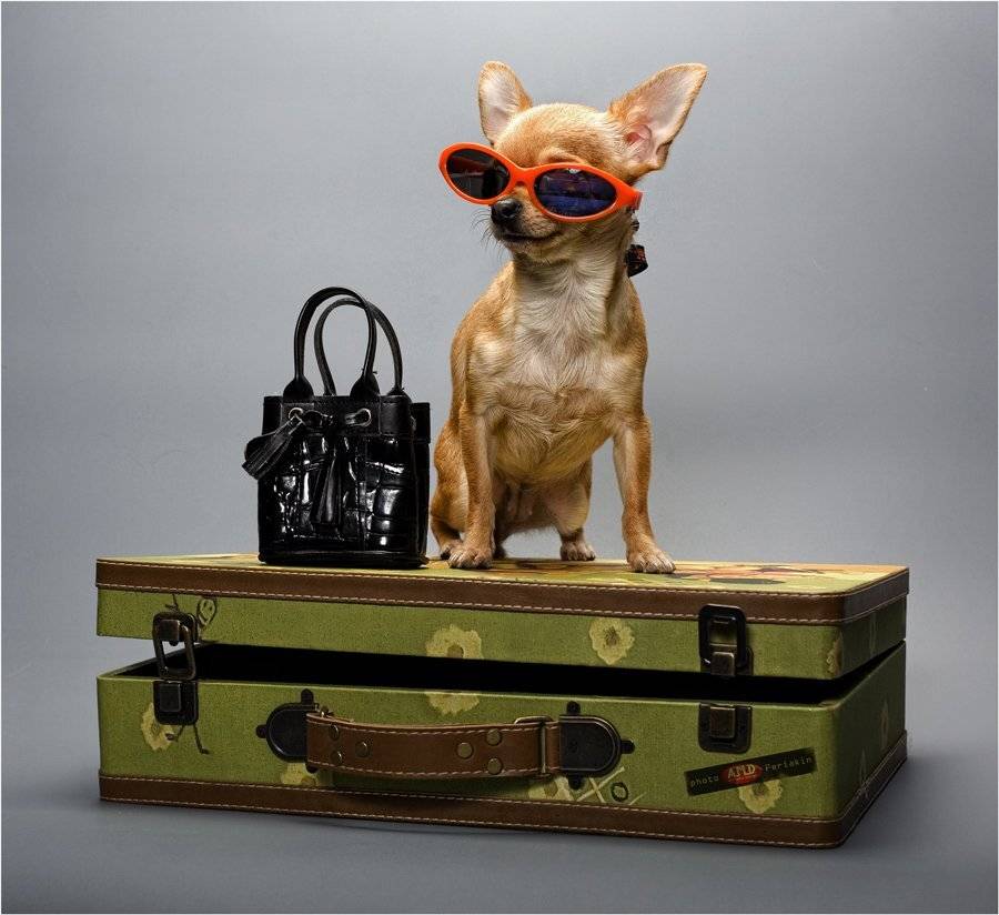 , Виктор Перякин