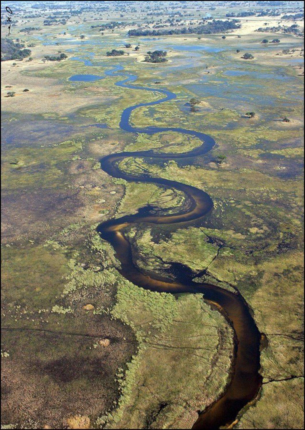 africa, botswana, okavango delta, африка, ботсвана, дельта окаванго, Оксана Борц