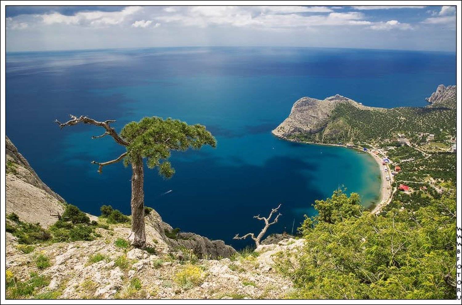 земля, пейзаж, крым, новый свет, черное море, море, горы, гора, сосны, природа, лето, Алексей Строганов