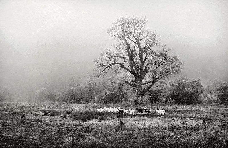 тихое место фото превью
