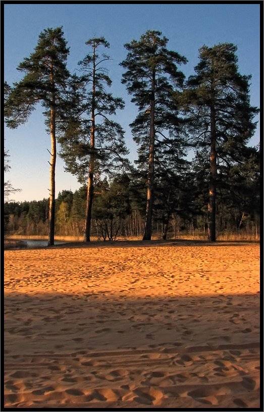 , Лунный Ежик