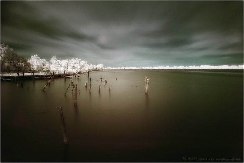 Silent Warriors.... фото превью