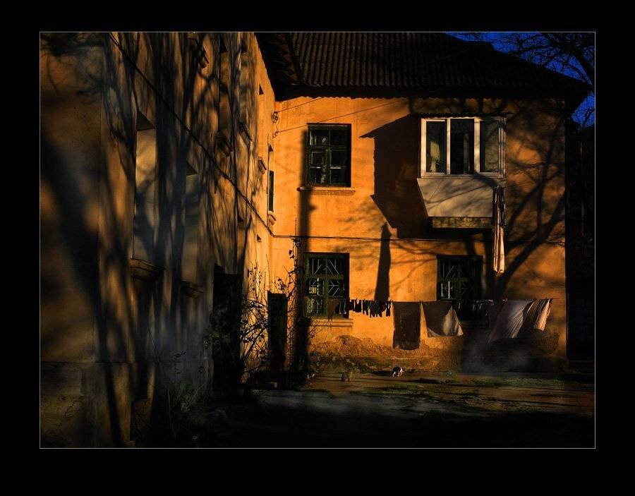 , ВИТАЛИКЪ ФОМЕНКО