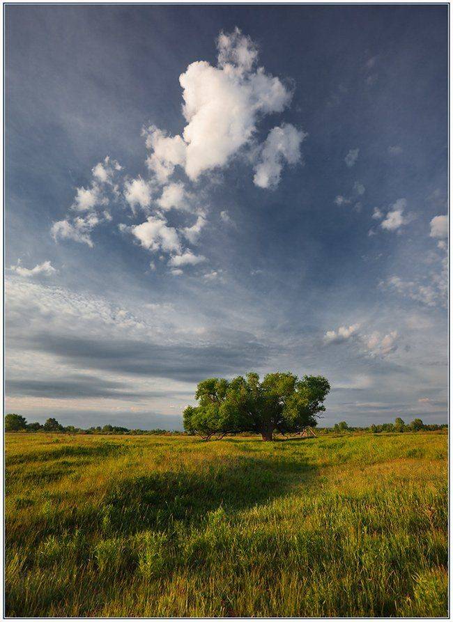 , izh Diletant (Валерий Щербина)