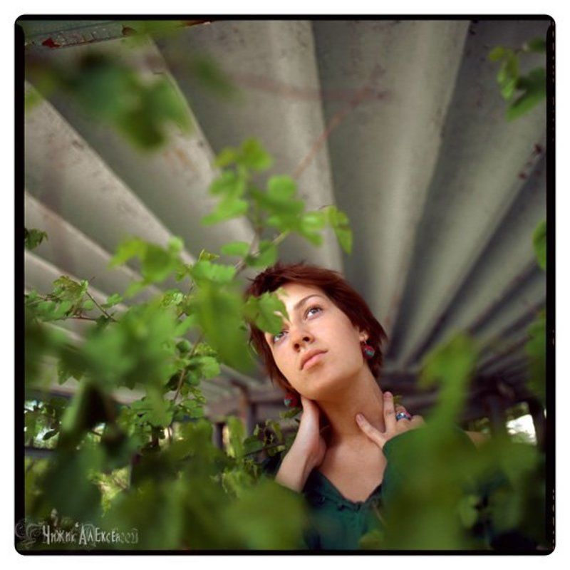 броника * фото превью