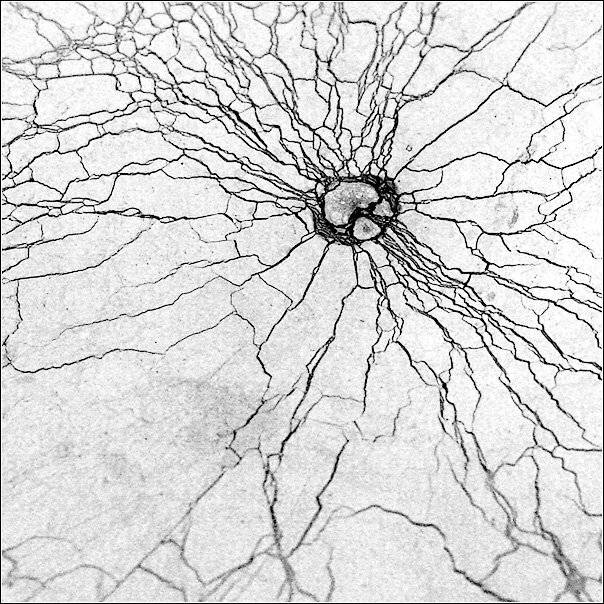 чай, абстракция, senjor
