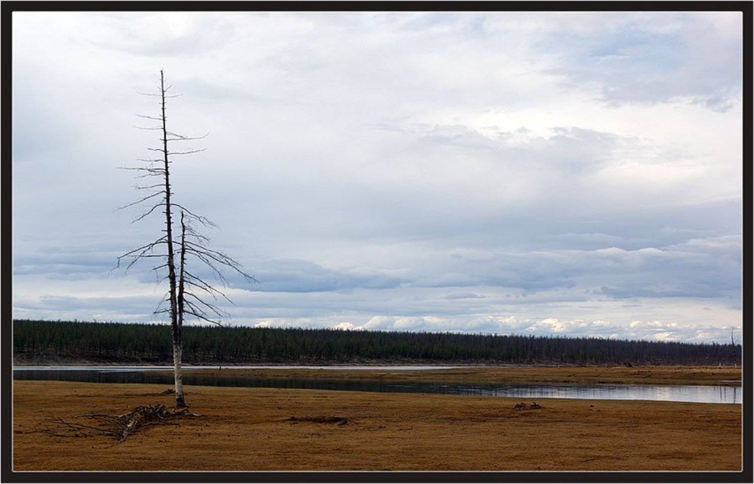 весна, север, якутия, Солодухин Виктор