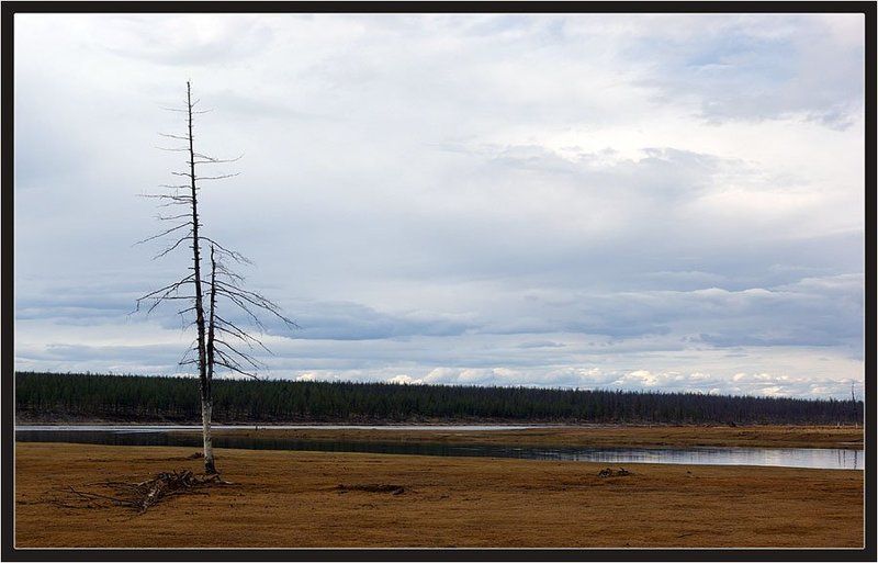 весна, север, якутия Одиночество фото превью