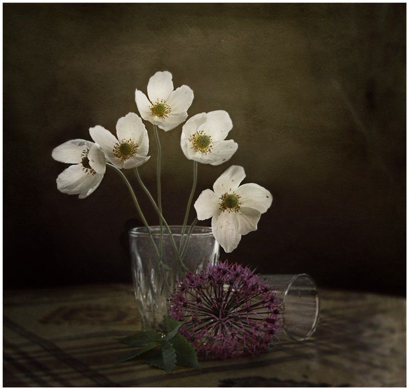 Дачный натюрморт фото превью