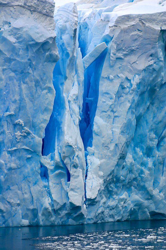 , Николай Шелепов