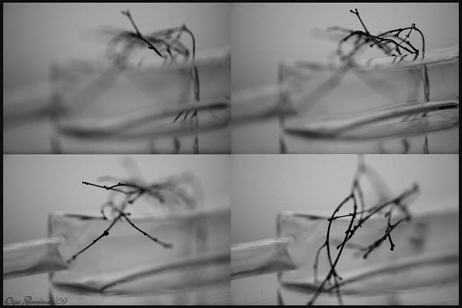 стекло, фото, натюрморт, старость, Ольга Горелова