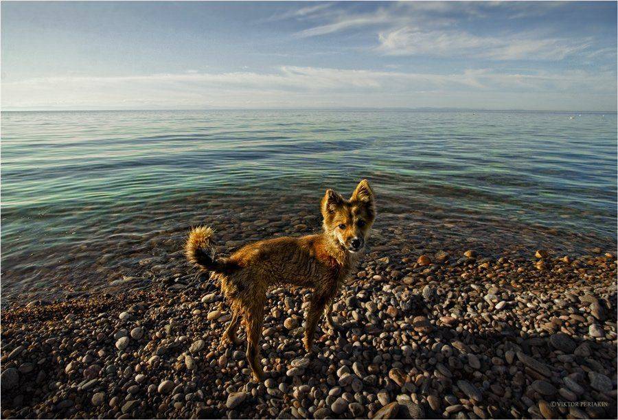 , Виктор Перякин