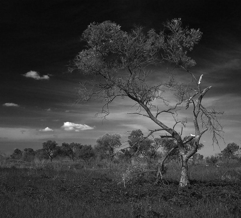 Не сдаться! фото превью