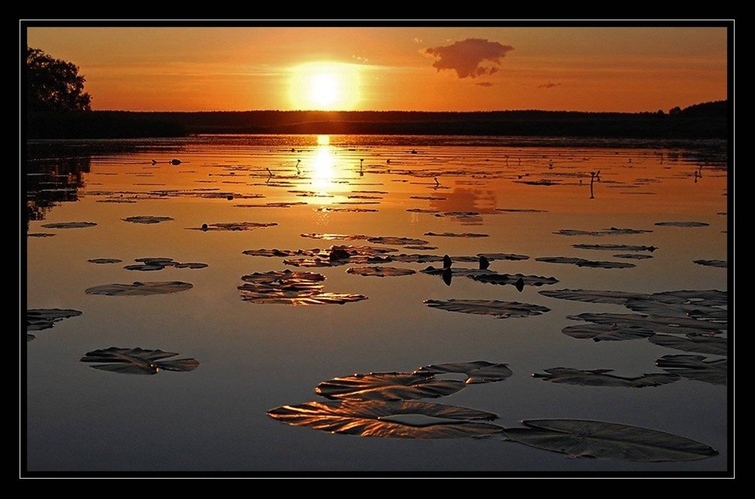 , Срибный Евгений