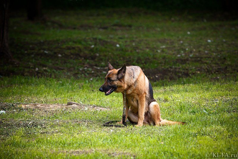 Оставили фото превью