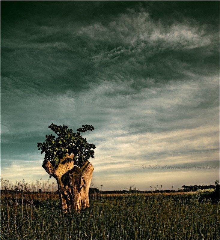 Ordinary фото превью