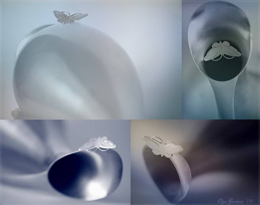 фото, натюрморт, путешествие, бабочка, Ольга Горелова