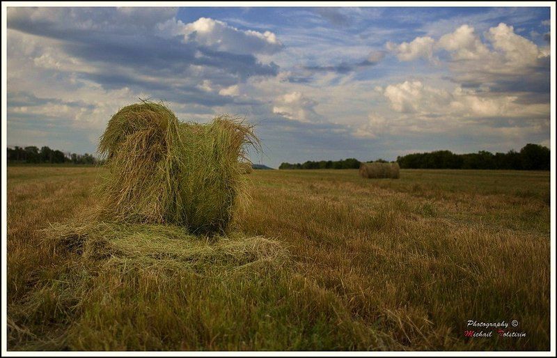 Сенокос фото превью