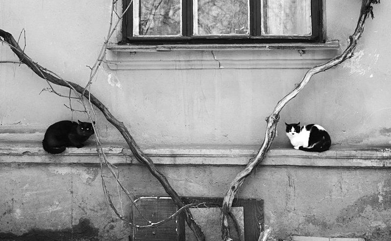 симметрия свидания фото превью