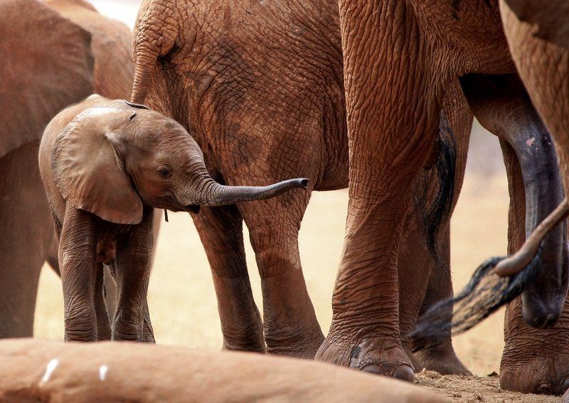 Вот это дааа... фото превью