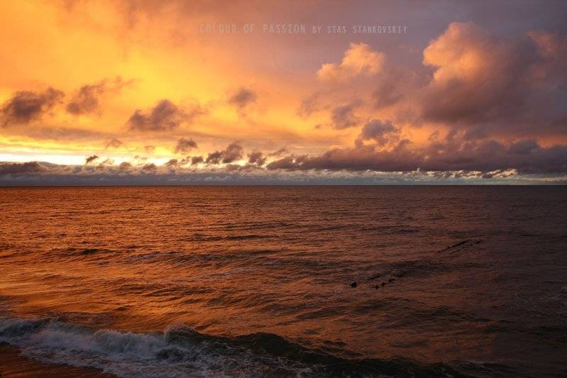 , Станислав Станьковский