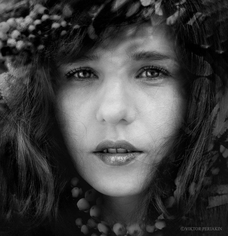 , Виктор Перякин