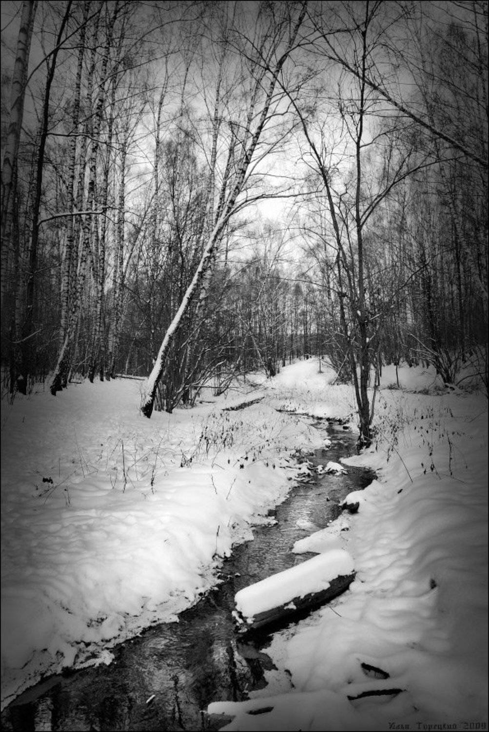 декабрьская, гравюра, Илья Турецкий