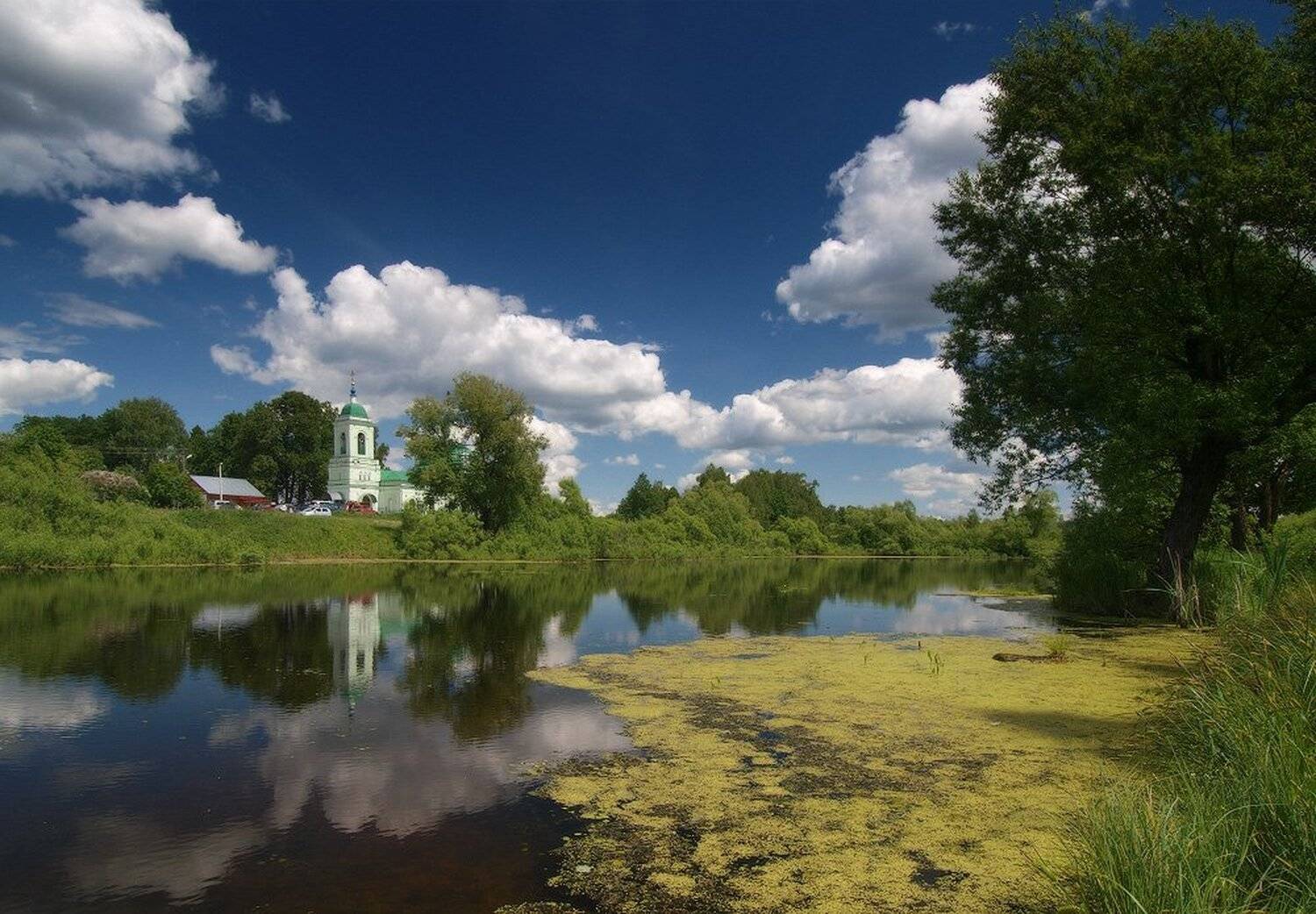 , Максим Евдокимов