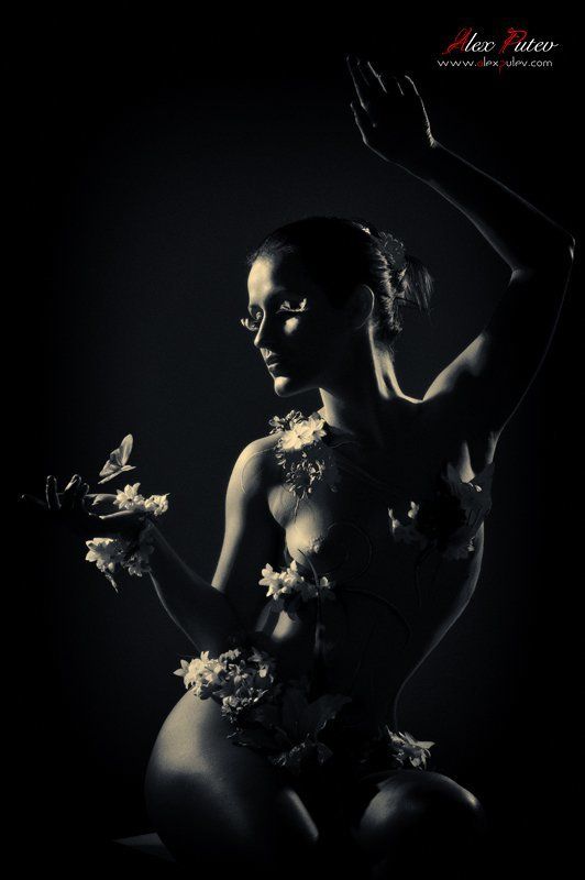 lines, and, forms Lines and forms фото превью