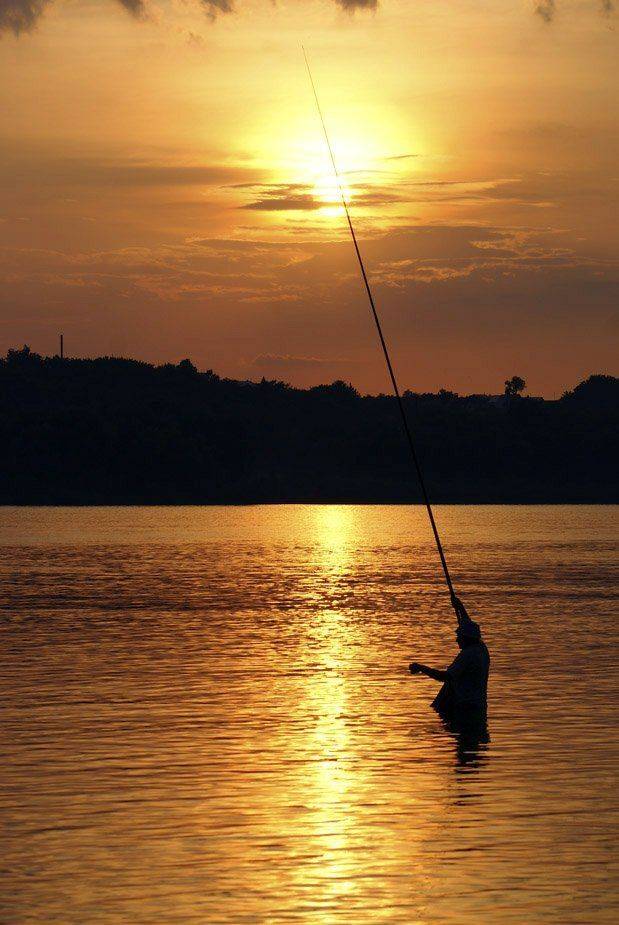 , Владислав.