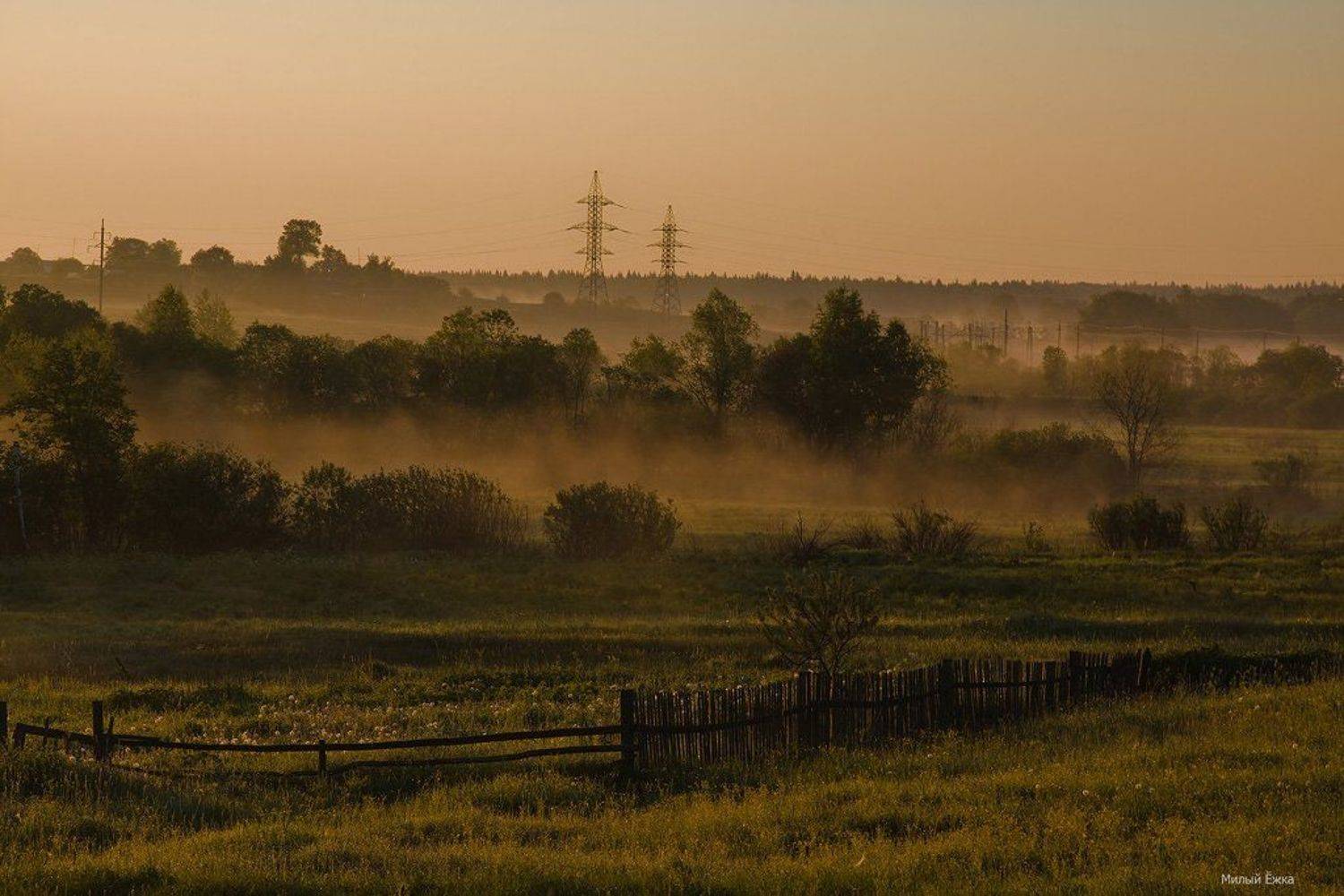 день, очистки, водоемов, Милый Ёжка