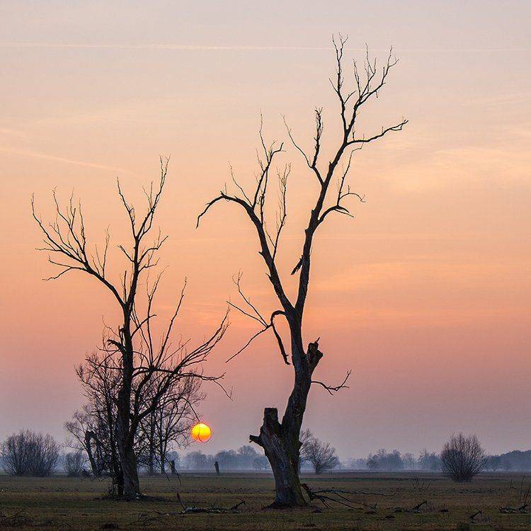 , Pawel Plucinski