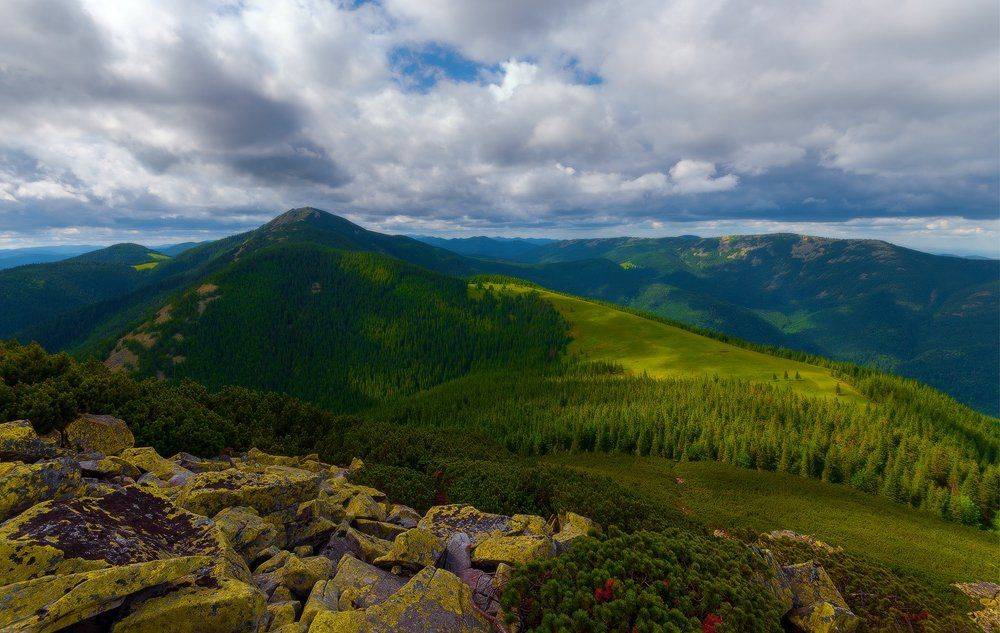 , Ярослав Тюрменко (Jaremi)