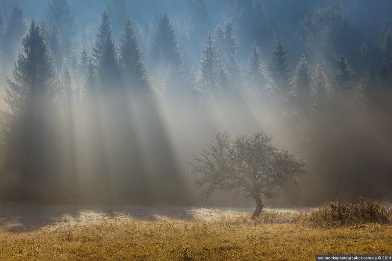 Танец в лучах.