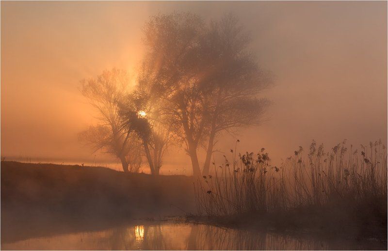Лизогубовка, Рассвет, Украина, Утро, Харьковская область Сold morning. фото превью