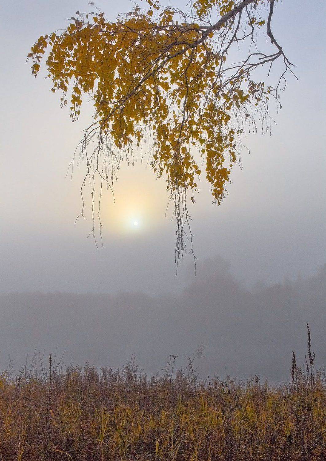 , Николай Морский