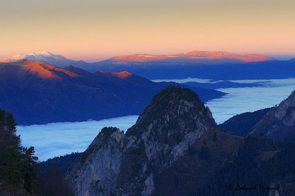 , Ловиков Михаил