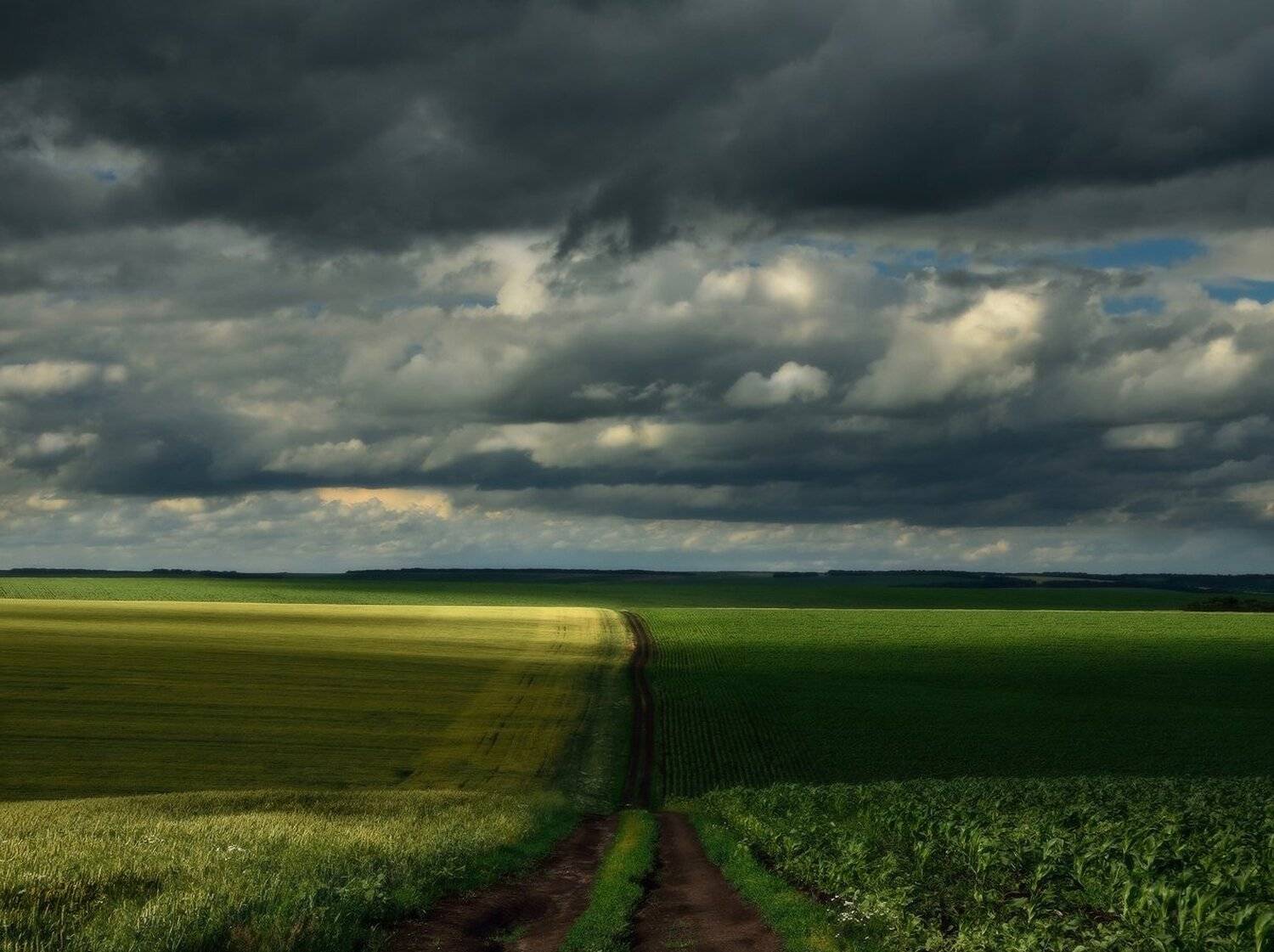 , Животков Андрей