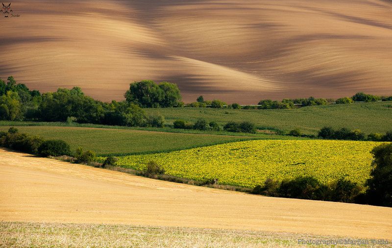 Moravija фото превью