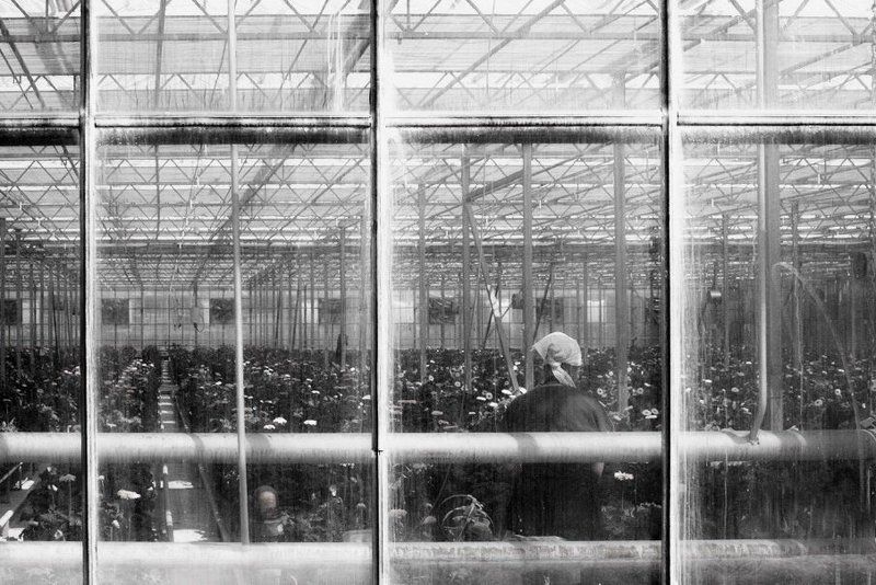 *** фото превью