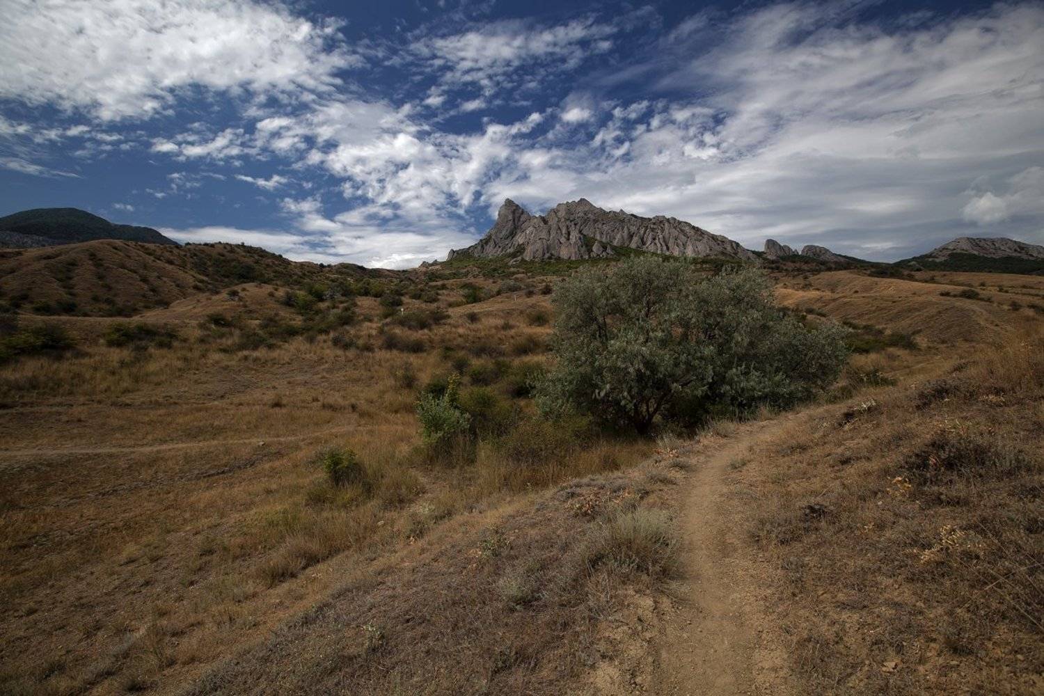 коктебель, крым, Леонид