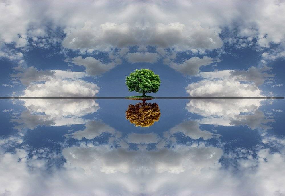 parallel, reality, milad safabakhsh, miladsafabakhsh, concept, conceptual, nature, landscape, tree, sky, cloud, blue, fine art, fineart, photography,, milad safabakhsh
