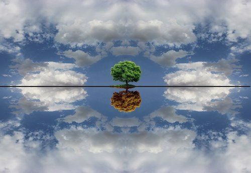 Parallel reality