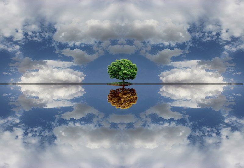 parallel, reality, milad safabakhsh, miladsafabakhsh, concept, conceptual, nature, landscape, tree, sky, cloud, blue, fine art, fineart, photography, Parallel reality фото превью