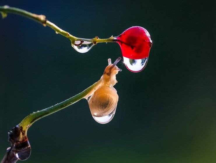 , Вячеслав Мищенко