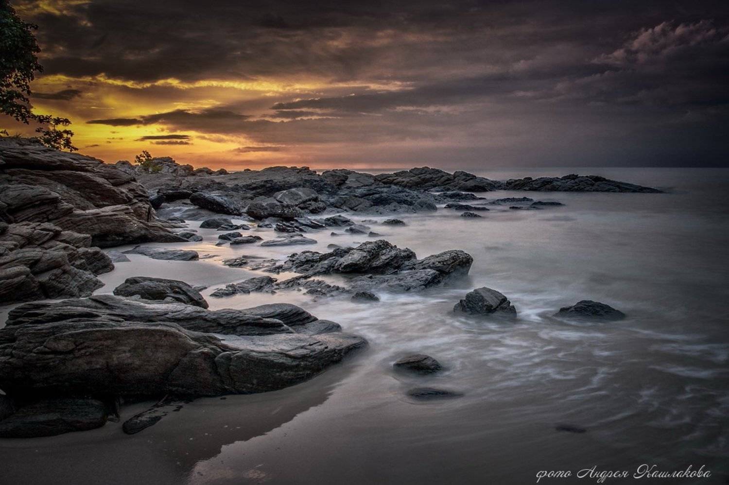 , Андрей Кашлаков