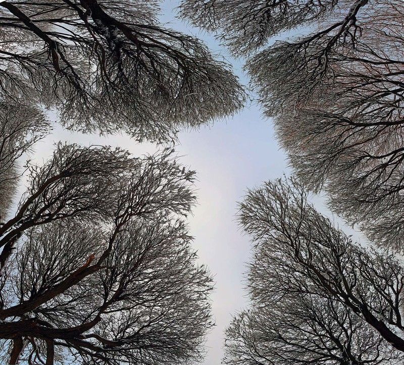 ... фото превью