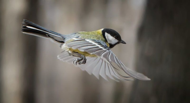 Заход на посадку фото превью