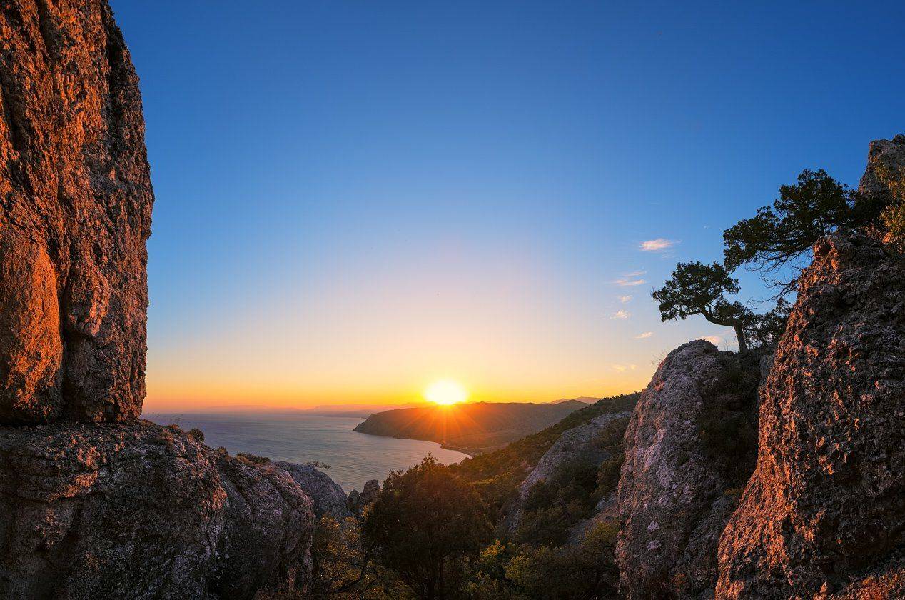 , Алексей Горохов