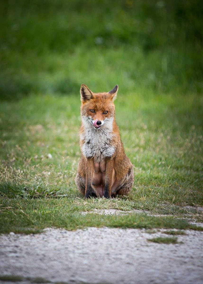 , Лядимов Дмитрий